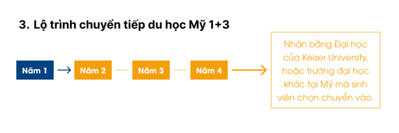 Lộ trình chuyển tiếp du học Mỹ 1+3