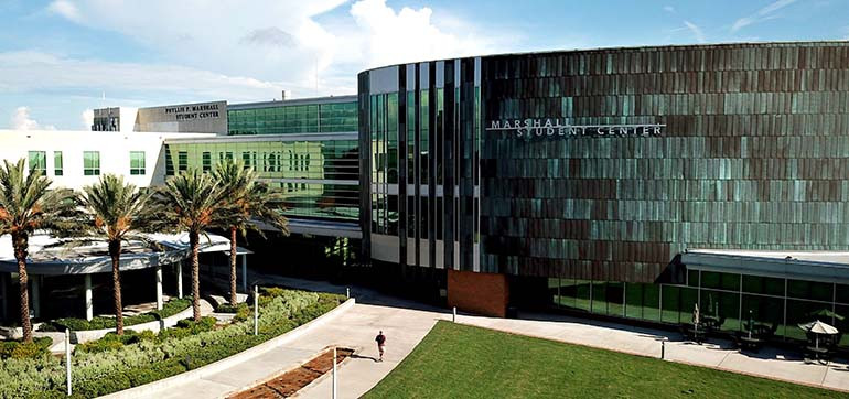 University of South Florida